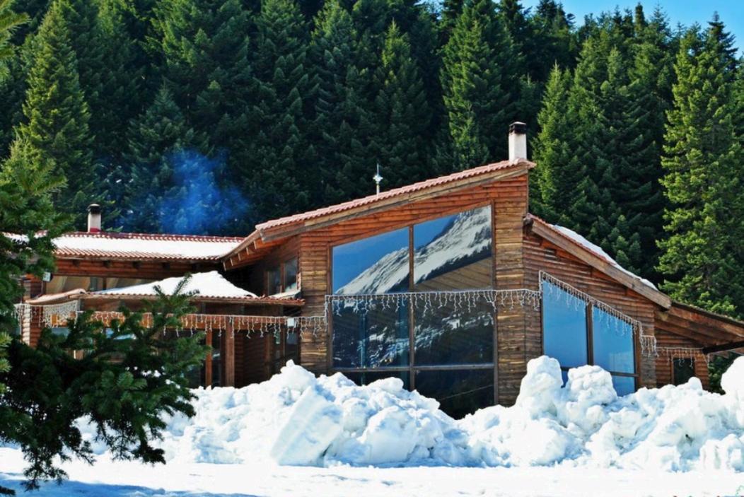 Elati Electra'S Cozy House Villa Dış mekan fotoğraf